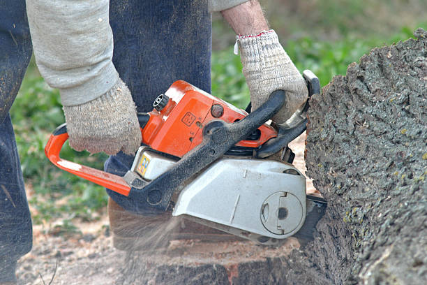 Lawn Maintenance Plans in French Lick, IN